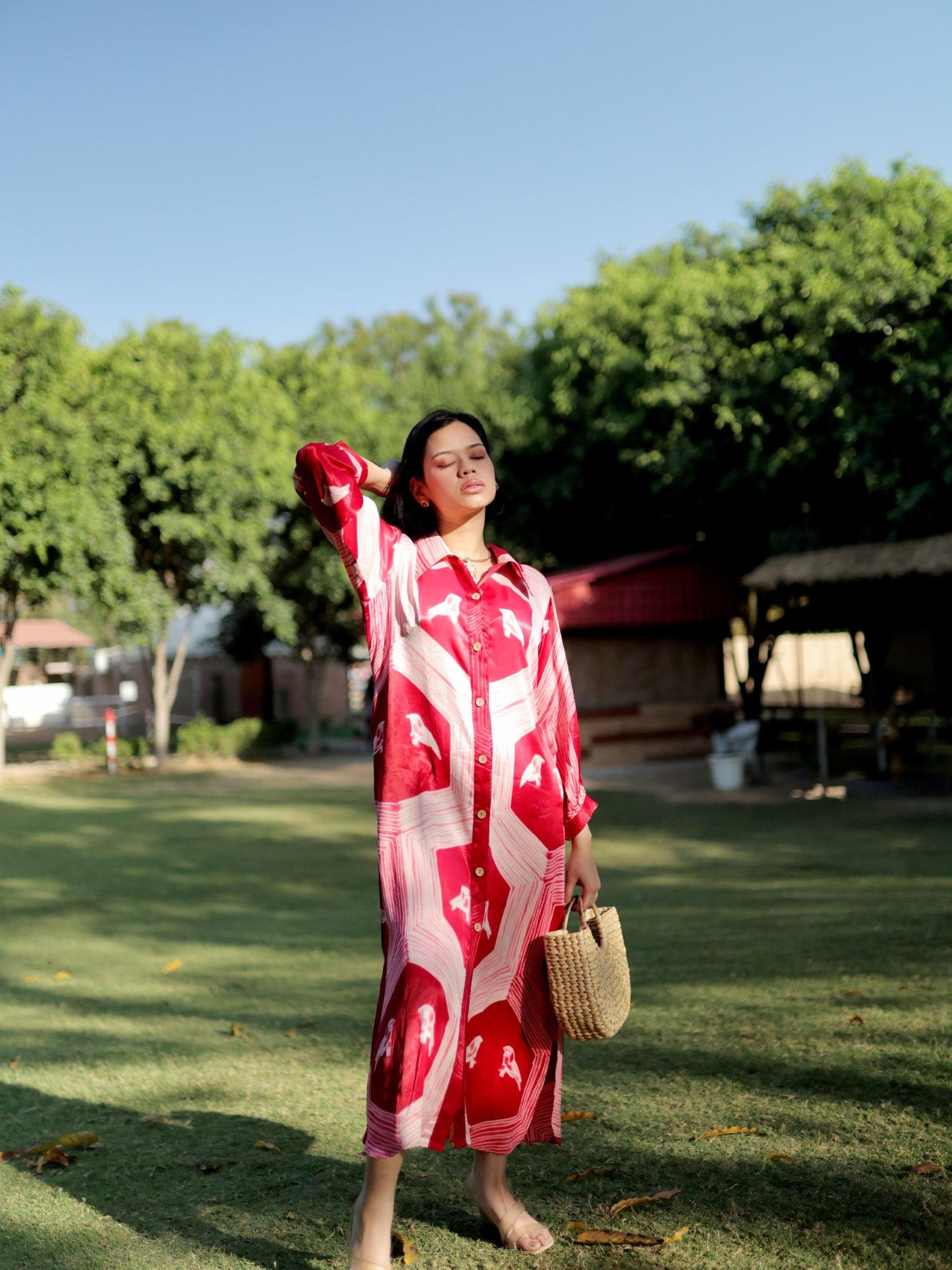 Button down shirt dress
